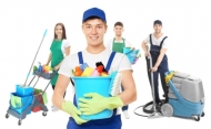 Những cách trị hôi cống nhà vệ sinh hiệu quả nhất 2022