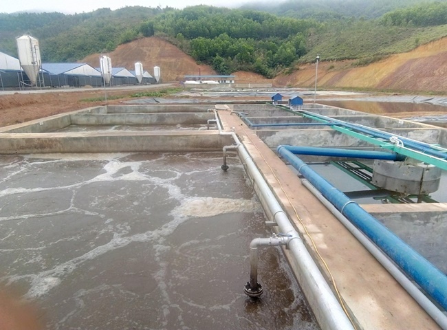 C&ocirc;ng ty cung cấp vận chuyển b&ugrave;n vi sinh Cần Thơ tốt nhất