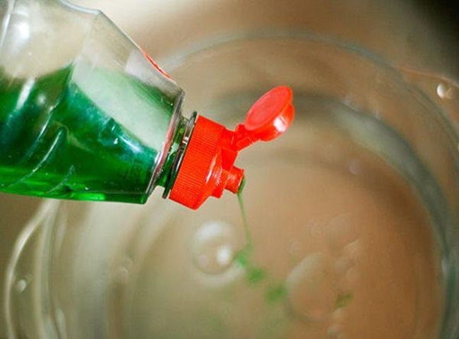 L&agrave;m sạch r&ecirc;u trong b&igrave;nh nước uống bằng nước rửa ch&eacute;n