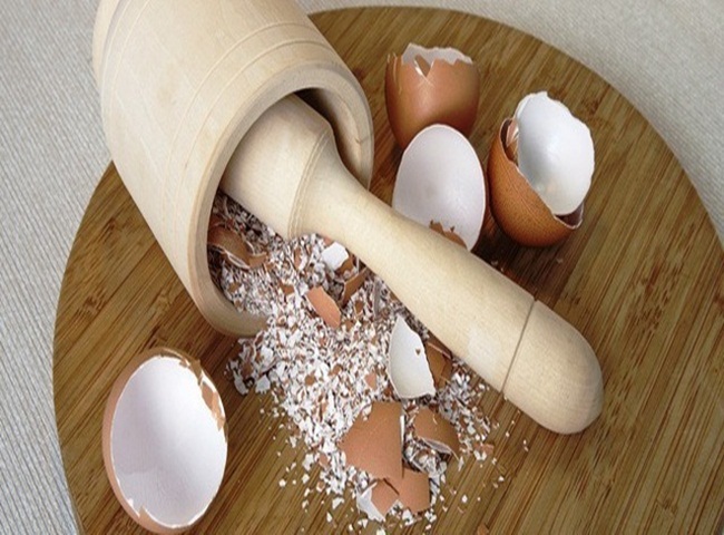 L&agrave;m sạch r&ecirc;u trong b&igrave;nh nước uống bằng vỏ trứng v&agrave; baking soda